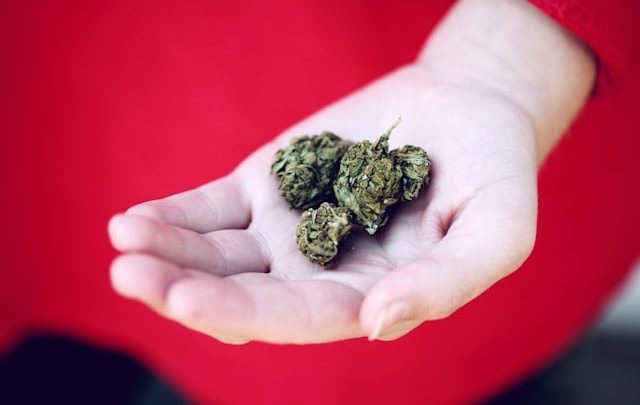 A Comprehensive Guide to Choosing the Best MMJ Clinic in Colorado Springs