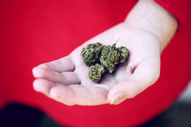 A Comprehensive Guide to Choosing the Best MMJ Clinic in Colorado Springs