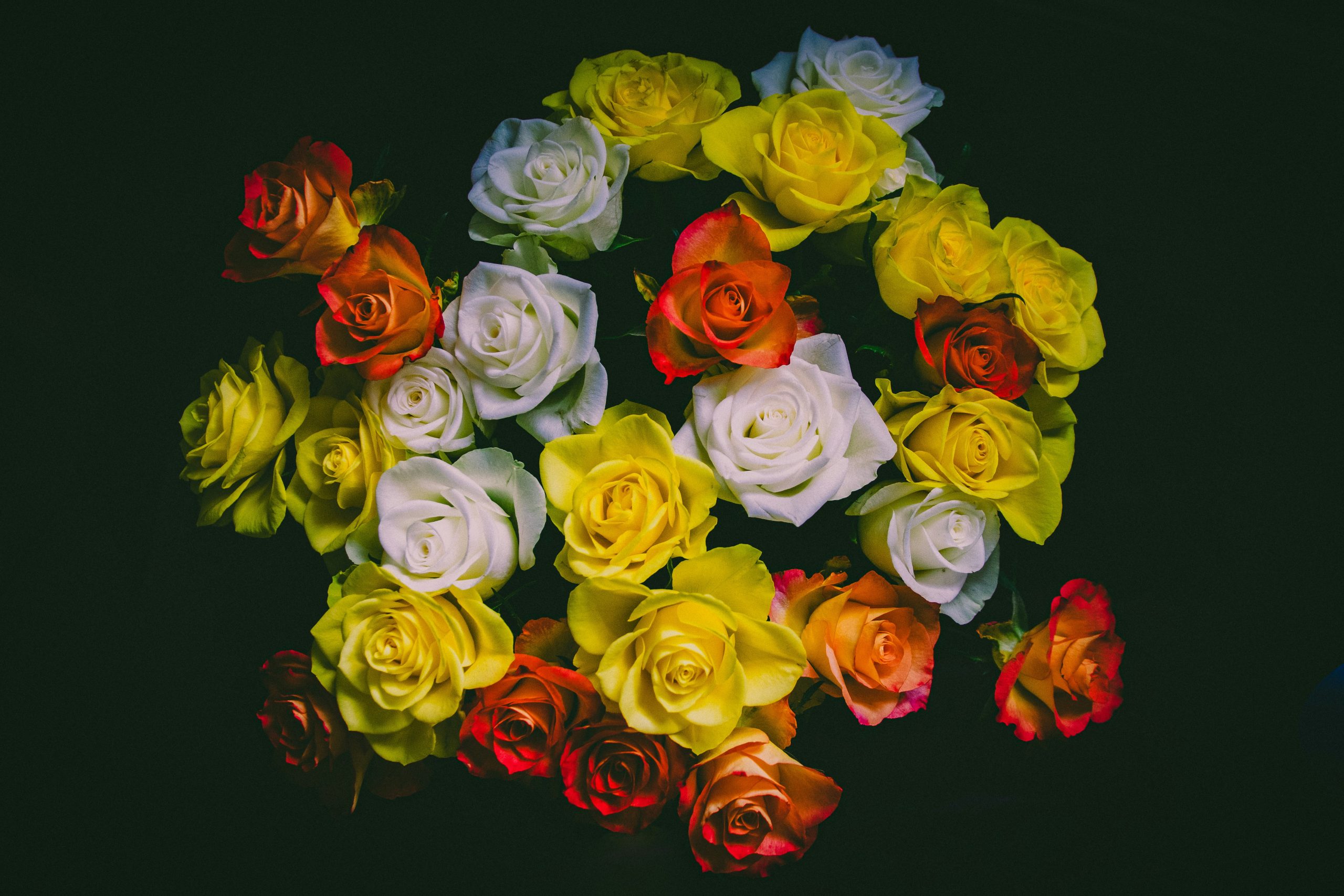 International Women's Day flowers