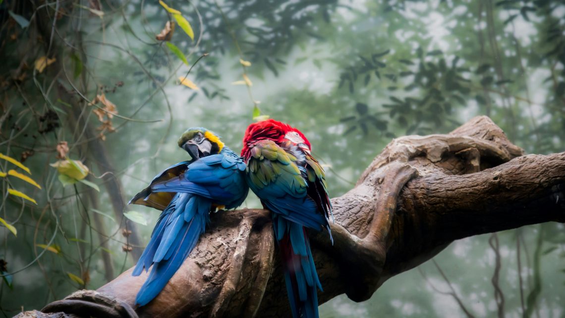 Exotic Locations to Travel: Top Destinations to Explore