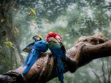 exotic locations to travel