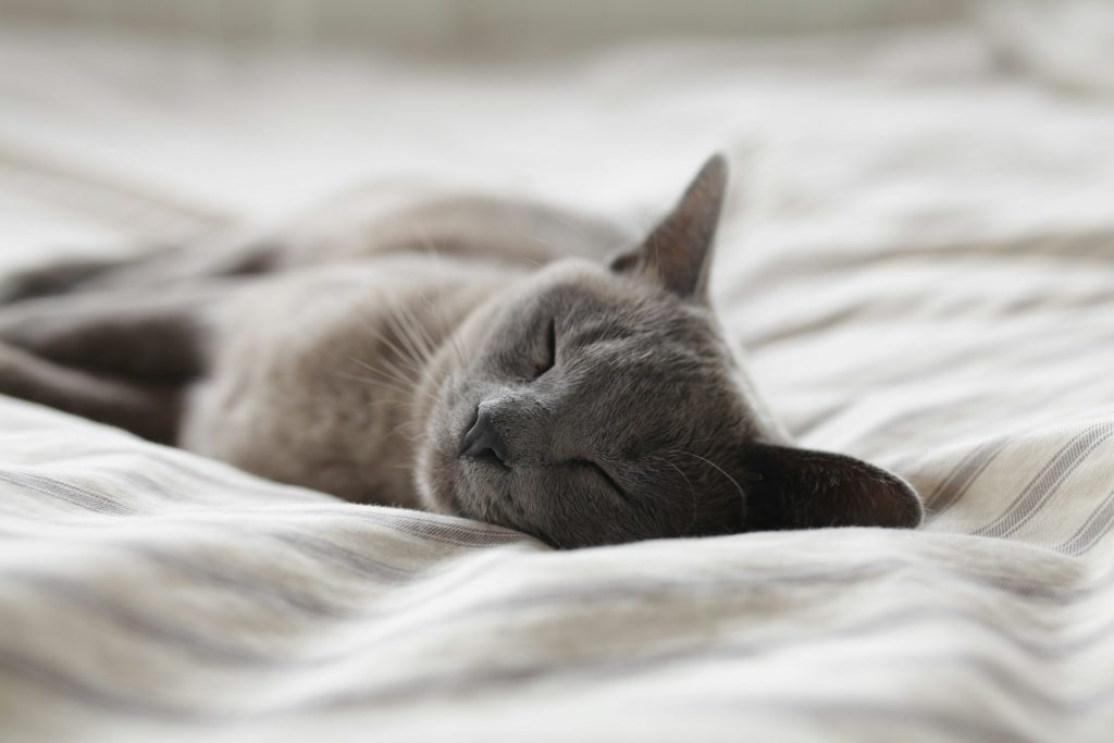 role of sleep in wellbeing