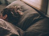 why sleep is important
