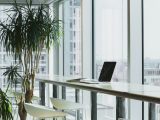 how to make your business green