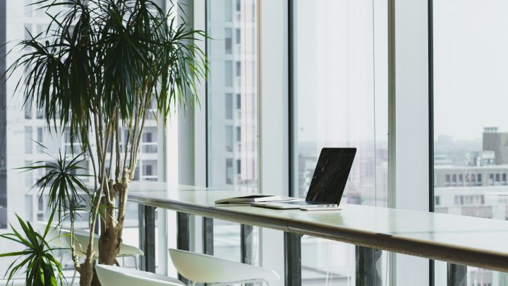 How To Make Your Business Green?