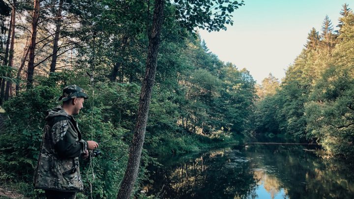 The Rise of Eco-Tourism: Sustainable Travel Practices