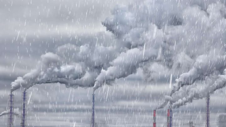 Acid Rain: Understanding its Causes, Effects, and Impacts