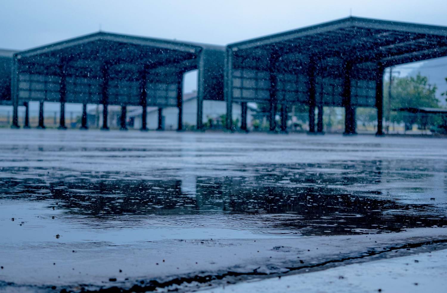 acid rain